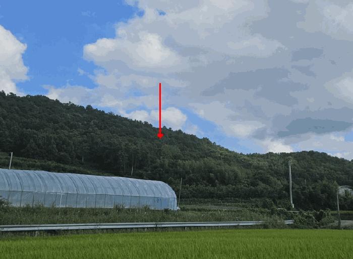 2025타경493 법원경매 사진2 | 전남 영암군 임야 경매