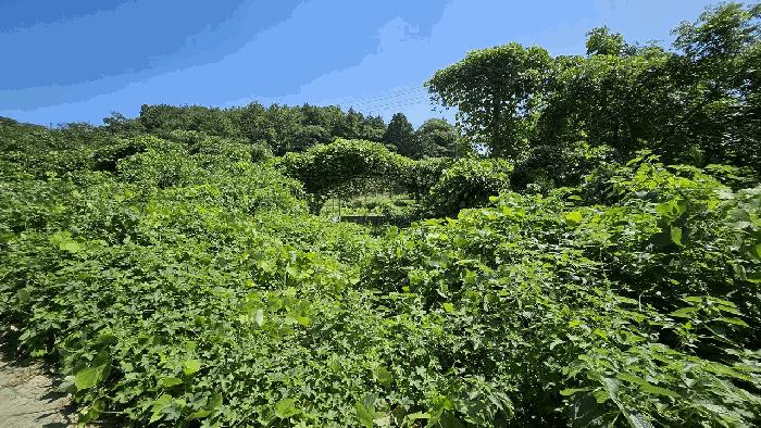 2025타경5312 법원경매 사진5 | 전남 장흥군 전답 경매