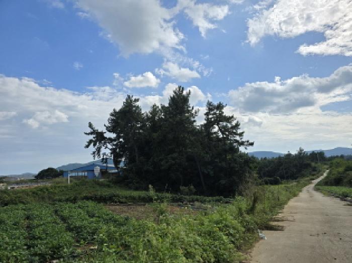 2025타경5324 법원경매 사진17 | 전남 장흥군 임야 경매