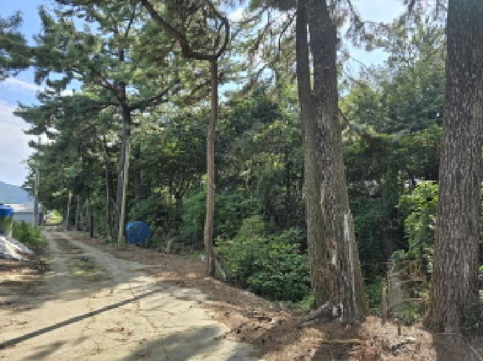 2025타경5324 법원경매 사진18 | 전남 장흥군 임야 경매