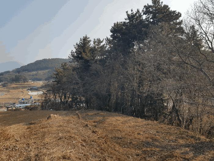 2026타경10035 법원경매 사진10 | 경남 남해군 전 경매