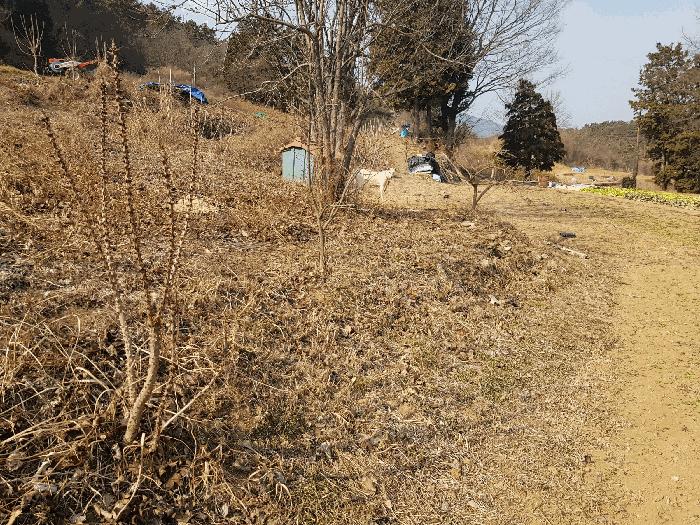 2026타경10035 법원경매 사진11 | 경남 남해군 전 경매