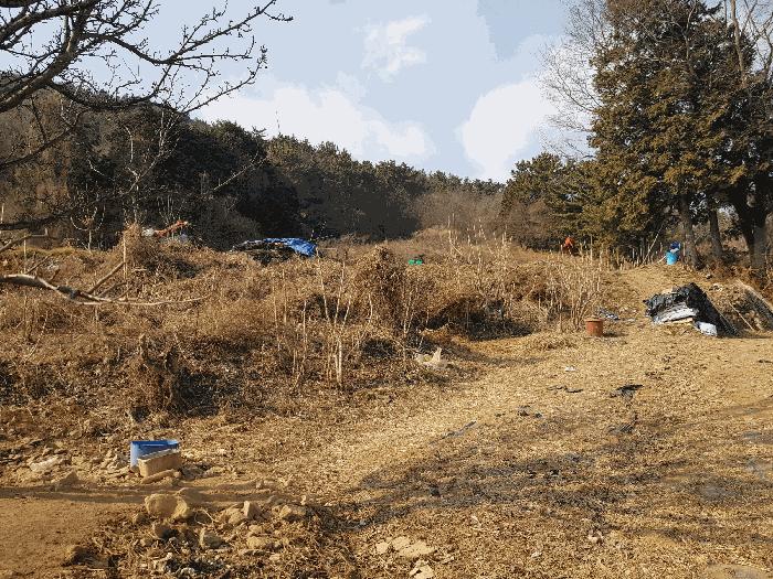 2026타경10035 법원경매 사진14 | 경남 남해군 전 경매