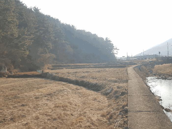 2026타경10035 법원경매 사진4 | 경남 남해군 전 경매
