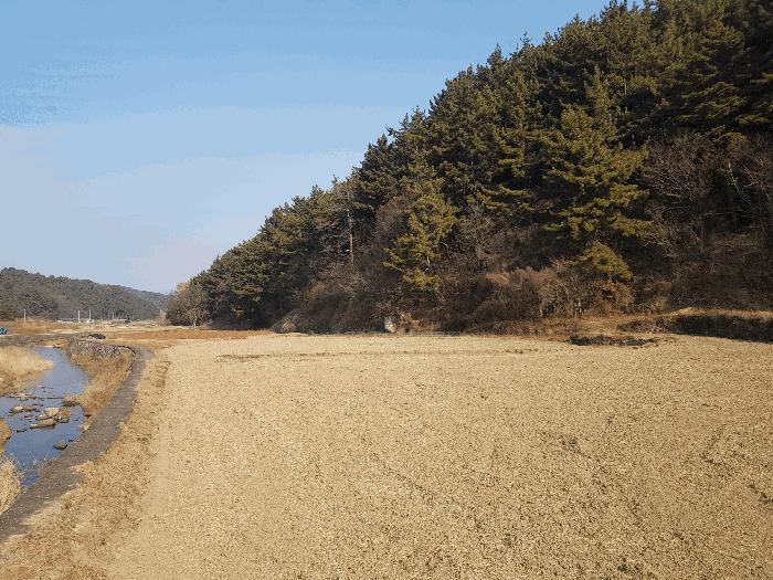 2026타경10035 법원경매 사진8 | 경남 남해군 전 경매