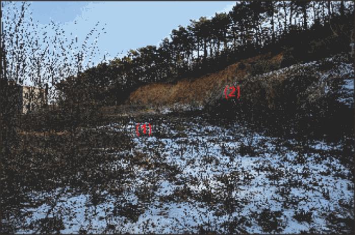2026타경10030 법원경매 사진2 | 천안 동남구 임야 경매