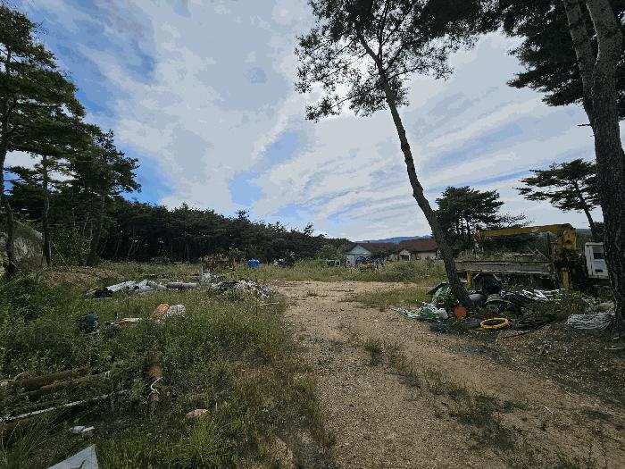 법원경매 2025타경528 사진2 | 경주시 천북면 물천리 임야 경매