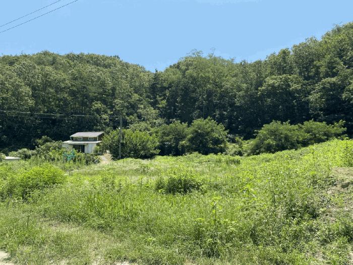 법원경매 2025타경8510 사진2 | 영천시 북안면 서당리 334 답 경매