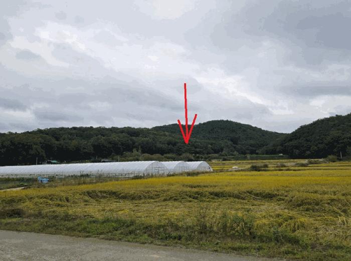 법원경매 2025타경3330 사진3 | 고령군 개진면 반운리 임야 경매