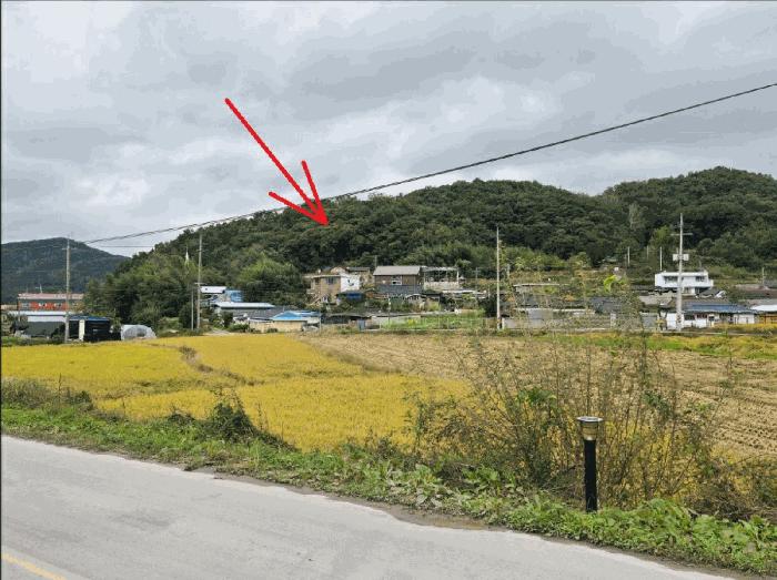 법원경매 2025타경3330 사진4 | 고령군 개진면 반운리 임야 경매