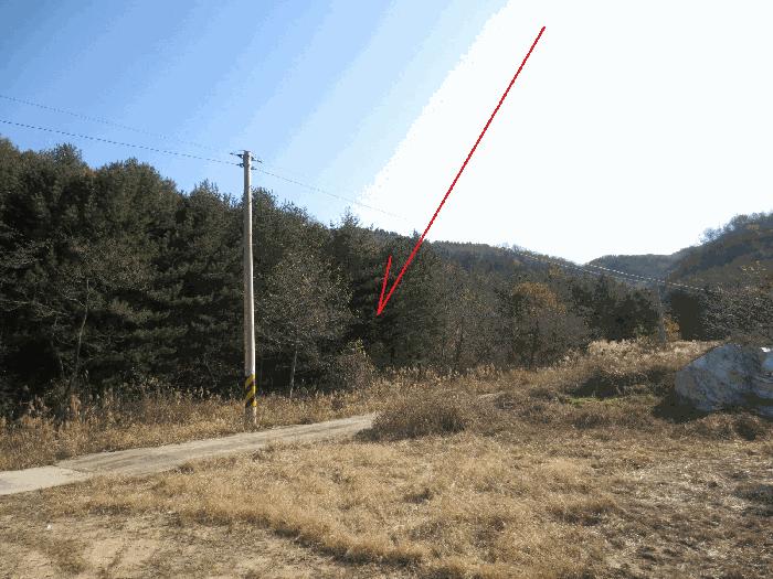 법원경매 2025타경302 사진3 | 고성군 죽왕면 가진리 임야 경매