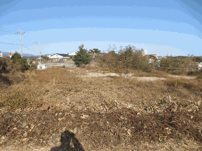 법원경매 2025타경10410 사진2 | 고성군 간성읍 신안리 421 전 경매