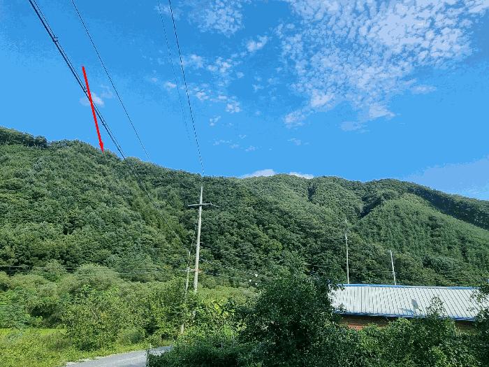 2025타경51650 법원경매 사진3 | 충북 진천군 임야 경매
