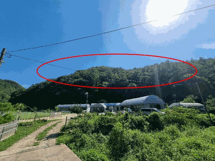 2025타경51650 법원경매 사진7 | 충북 진천군 임야 경매