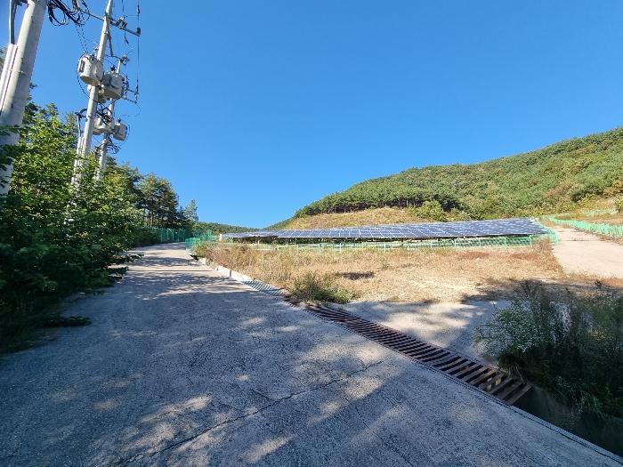 2023타경11489 법원경매 사진13 | 대구 군위군 임야 경매