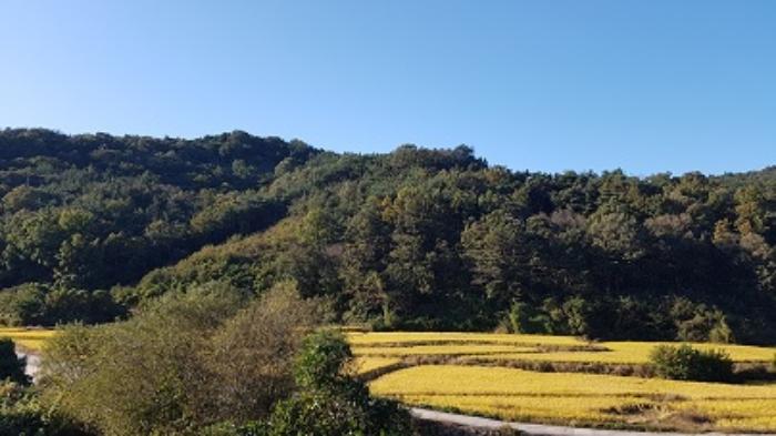 2023타경11489 법원경매 사진15 | 대구 군위군 임야 경매