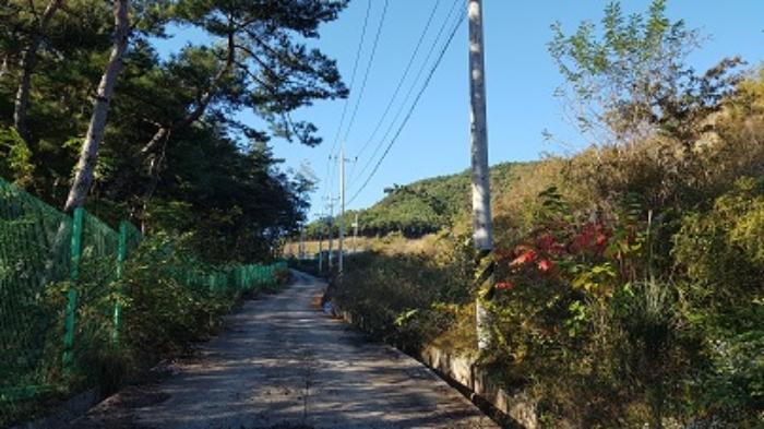 2023타경11489 법원경매 사진17 | 대구 군위군 임야 경매