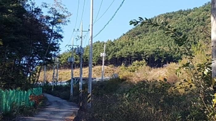 법원경매 2023타경11489 사진18 | 의성군 구천면 장국리 임야 경매