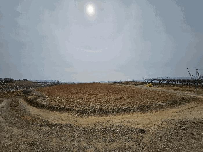 법원경매 2025타경131 사진5 | 의성군 단북면 전 경매