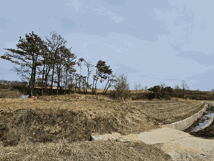 법원경매 2025타경131 사진7 | 의성군 단북면 전 경매