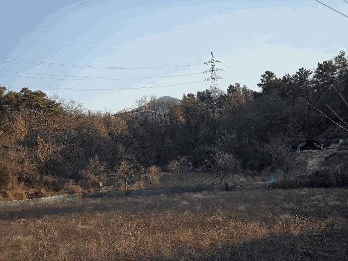 경북 영천시 대창면 사리리 산66 임야 사진 2