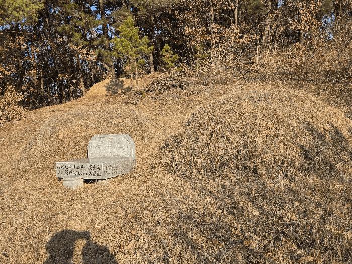 경북 영천시 대창면 사리리 산66 임야 사진 3