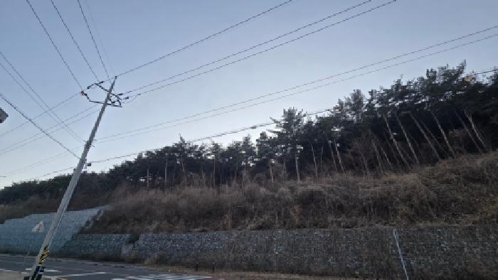 2025타경12949 법원경매 사진7 | 울산 울주군 임야 경매
