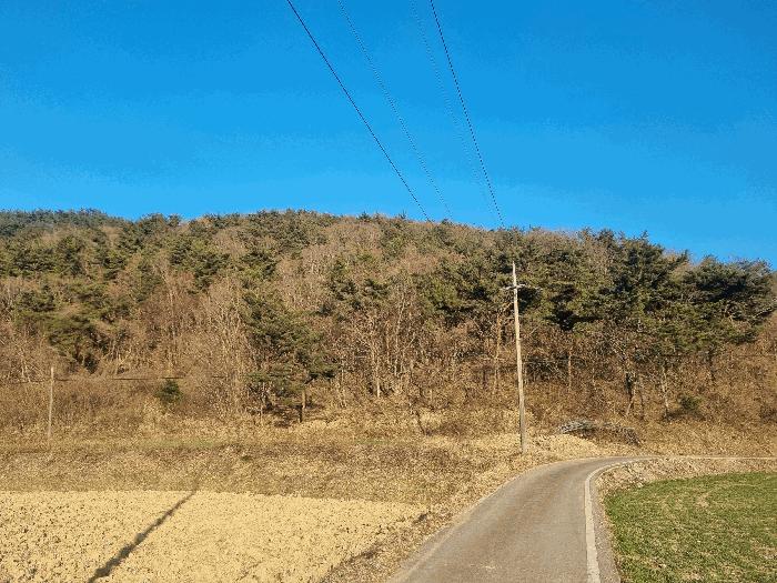 전남 영광군 백수읍 대신리 산104 임야 사진 2