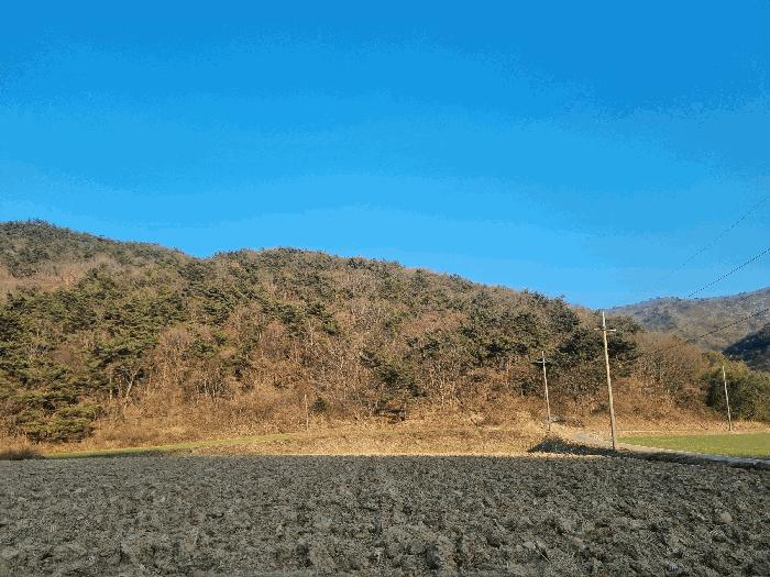 전남 영광군 백수읍 대신리 산104 임야 사진 3