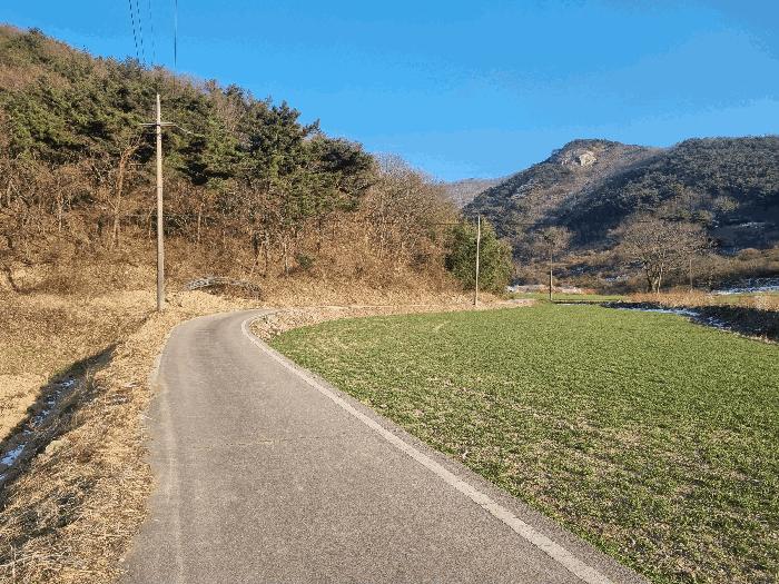 전남 영광군 백수읍 대신리 산104 임야 사진 4