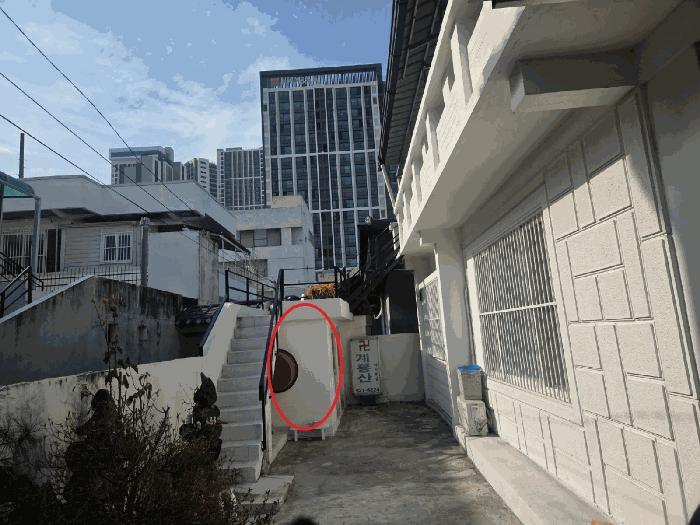2025타경504175 법원경매 사진5 | 대전 서구 주택건물 경매