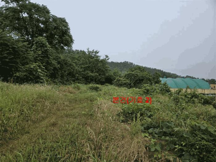 2025타경493 법원경매 사진3 | 경남 합천군 전 경매