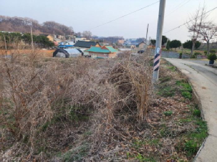 법원경매 2025타경54954 사진5 | 화성시 우정읍 한각리 381-1 대지 경매