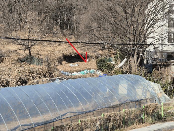 법원경매 2025타경53798 사진2 | 성남시 분당구 서현동 183 전 경매