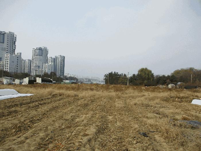 경기 평택시 죽백동 403 답 사진 2