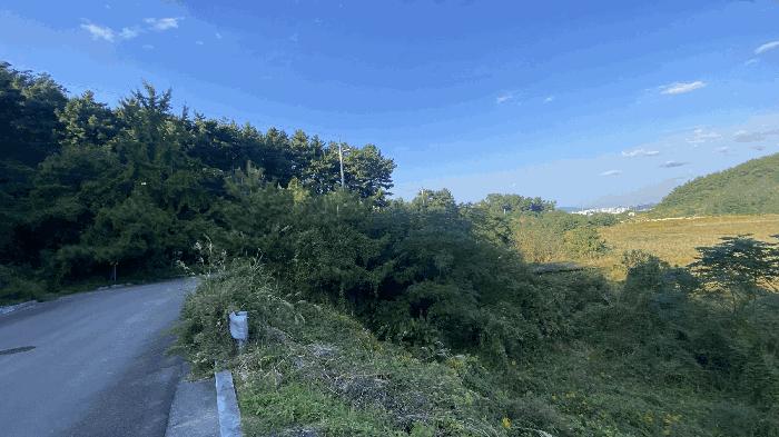 법원경매 2025타경51530 사진3 | 목포시 달동 산210-1 임야 경매