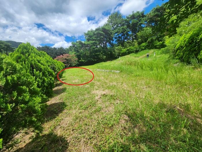 2024타경36038 법원경매 사진3 | 경남 산청군 전 경매