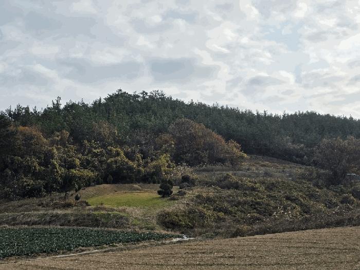 전남 신안군 지도읍 봉리 385-1 전 사진 2