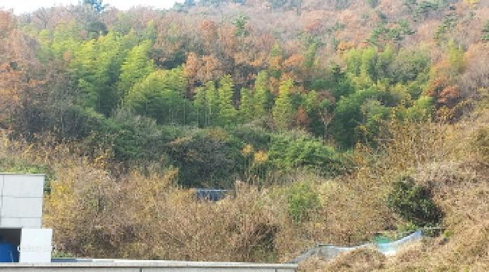 2025타경22247 법원경매 사진15 | 경남 거제시 임야 경매