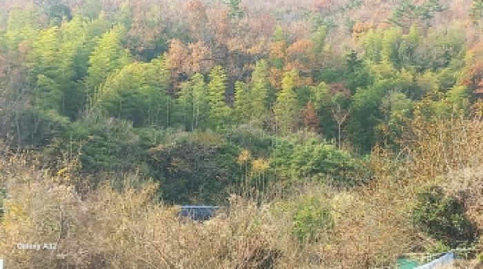 2025타경22247 법원경매 사진16 | 경남 거제시 임야 경매