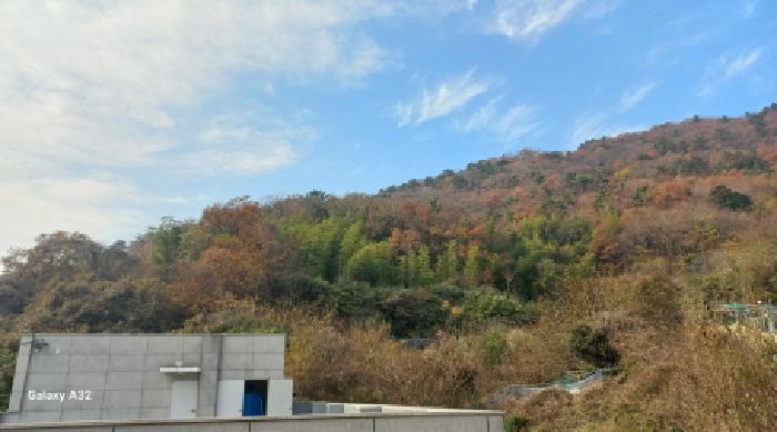 2025타경22247 법원경매 사진17 | 경남 거제시 임야 경매