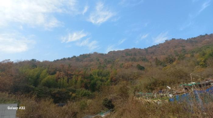 2025타경22247 법원경매 사진18 | 경남 거제시 임야 경매