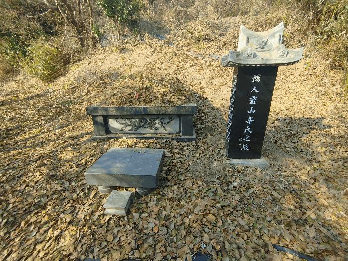 2025타경22247 법원경매 사진6 | 경남 거제시 임야 경매