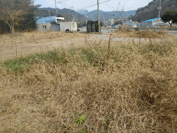 2025타경22247 법원경매 사진7 | 경남 거제시 임야 경매