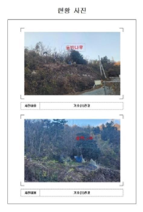 2025타경51719 법원경매 사진4 | 전남 무안군 임야 경매