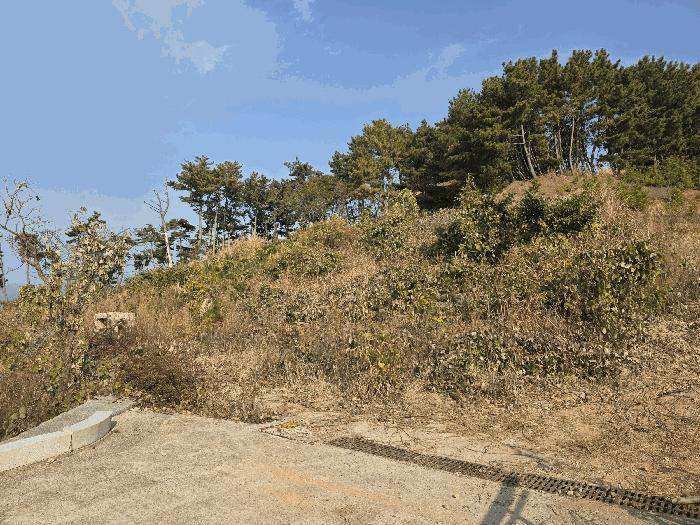 경상남도 거제시 동부면 오송리 산46-2 법원경매 물건 대표사진