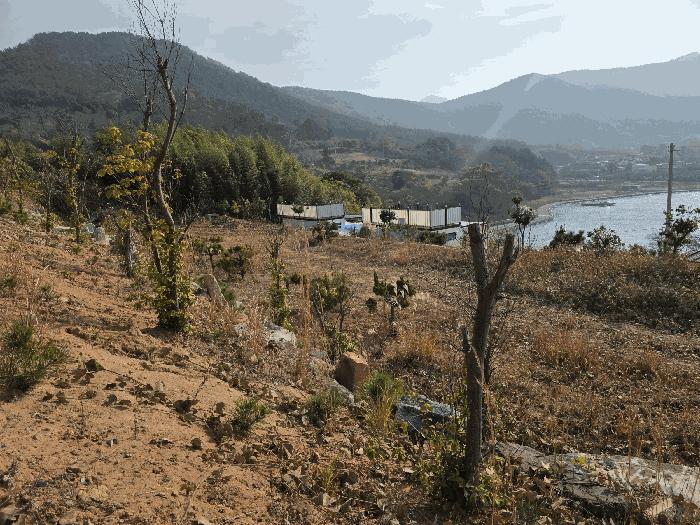 2025타경22281 법원경매 사진12 | 경남 거제시 임야 경매