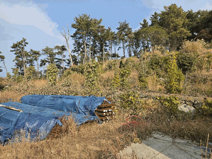 2025타경22281 법원경매 사진6 | 경남 거제시 임야 경매