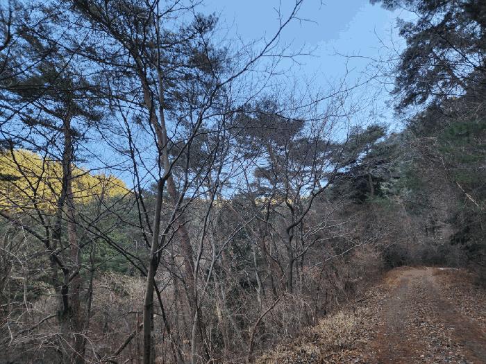 2025타경500 법원경매 사진9 | 경남 하동군 대지,임야,전답 경매