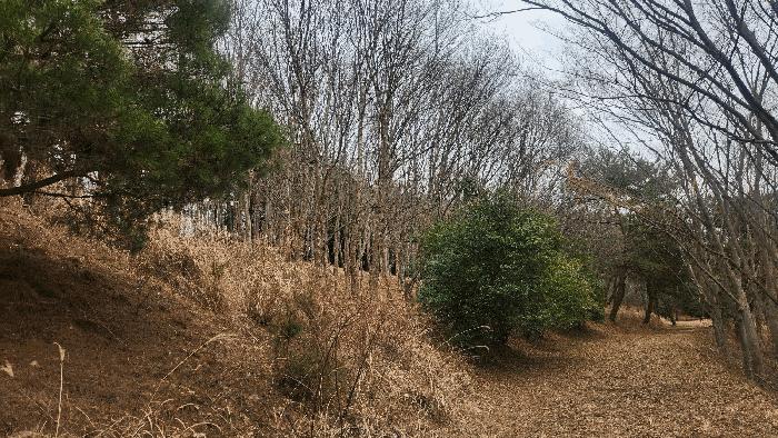 2025타경552 법원경매 사진2 | 경남 사천시 대지,임야,전답 경매